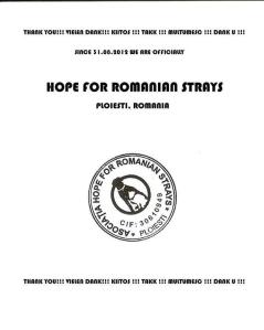 217830_362896460456067_331474058_n