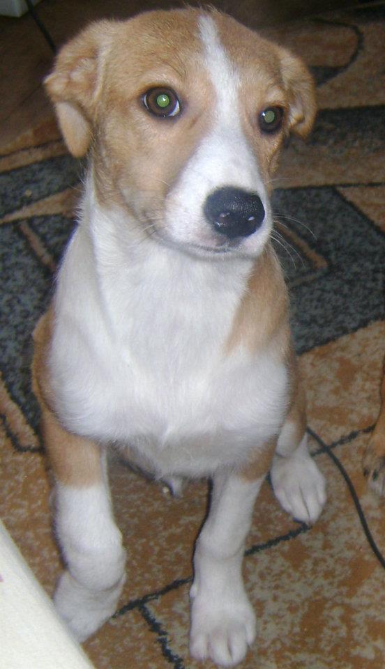 Hope before departure