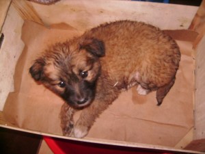 Xena - Rescue Day - 27 May 2012