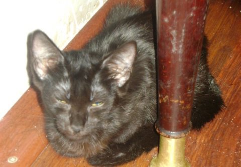 Baby Ninja at 3 months