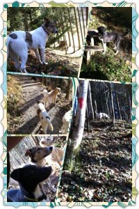 61912_4551299657252_1340208633_n