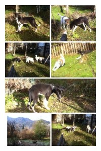 68067_4540674791637_849456548_n