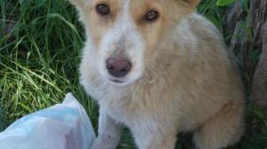 178790_430843496956390_215101990_o