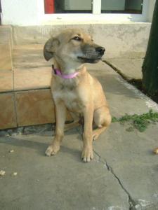 310600_468229606551112_1799483284_n