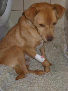 526041_478927438814662_569683261_n