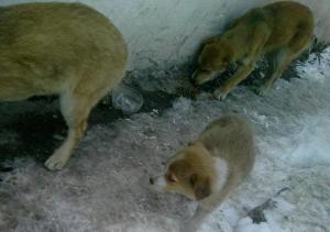 551274_370919179615489_919610230_n