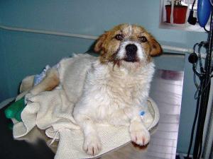 Emily in clinic march