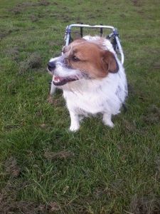 Emily on wheels 12 sept