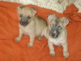 401209_449650815113964_1802150677_n