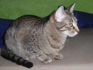 A beautiful grown up Candy