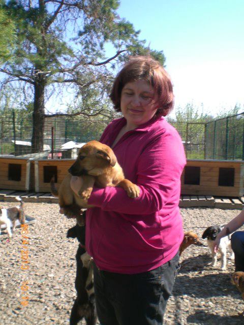 2516_570271362994308_643092018_n