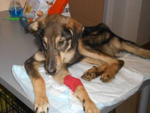 Fatmy who was close to starvation and needed emergency care