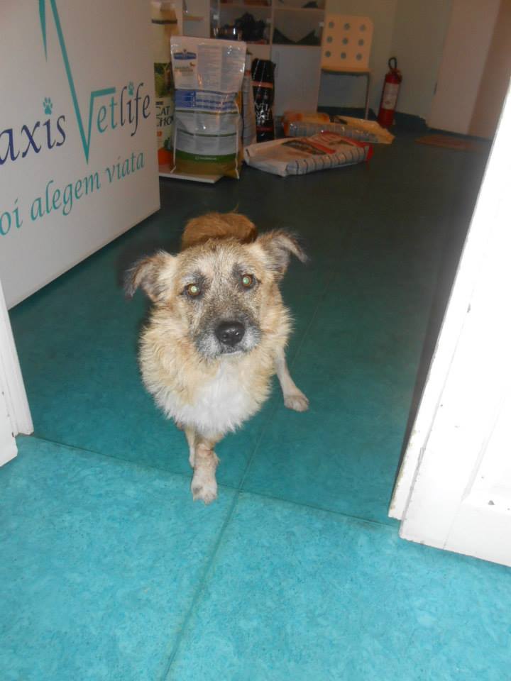 Ciufy with his broken foot