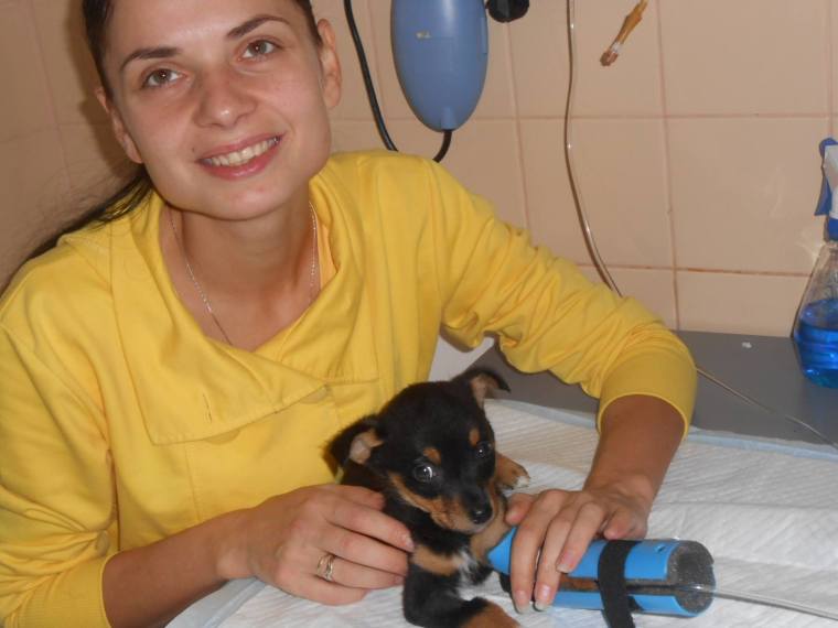 Tiny Maria in good hands