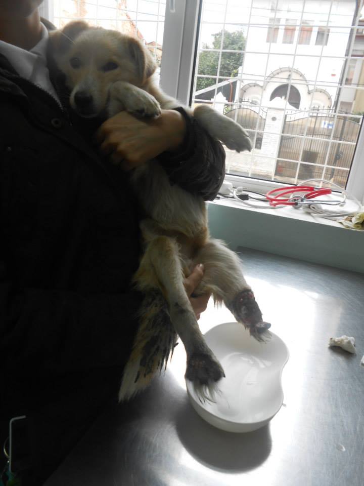 Maya when we found her