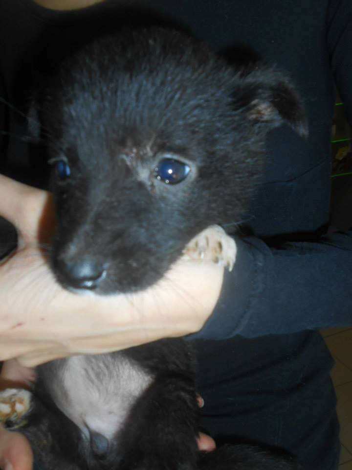 A bundle of hope and joy that deserves to live