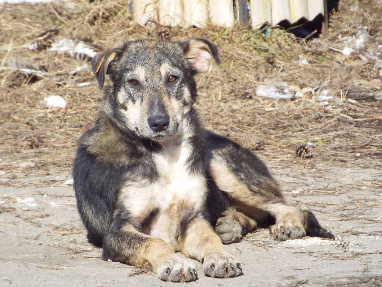 Fatmy today - a handsome survivor