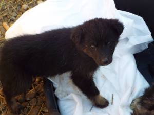 Will you help me become a survivor too by sponsoring me?