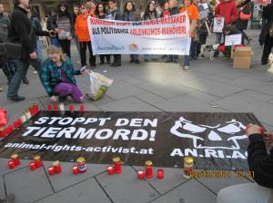 Demonstrators in Vienna