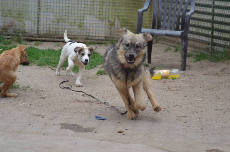 Finally free to enjoy life