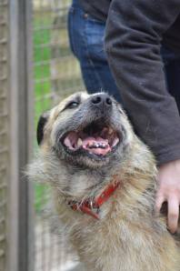 Eddie smiling at becoming a German citizen