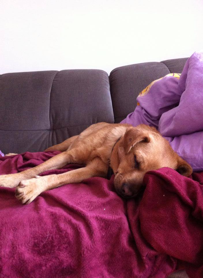 Little Suky happy and free