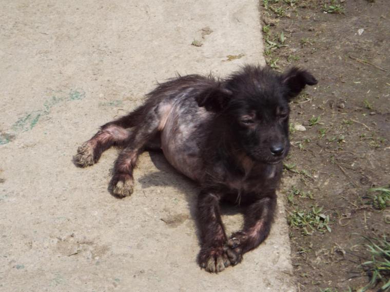 A small bundle of hope