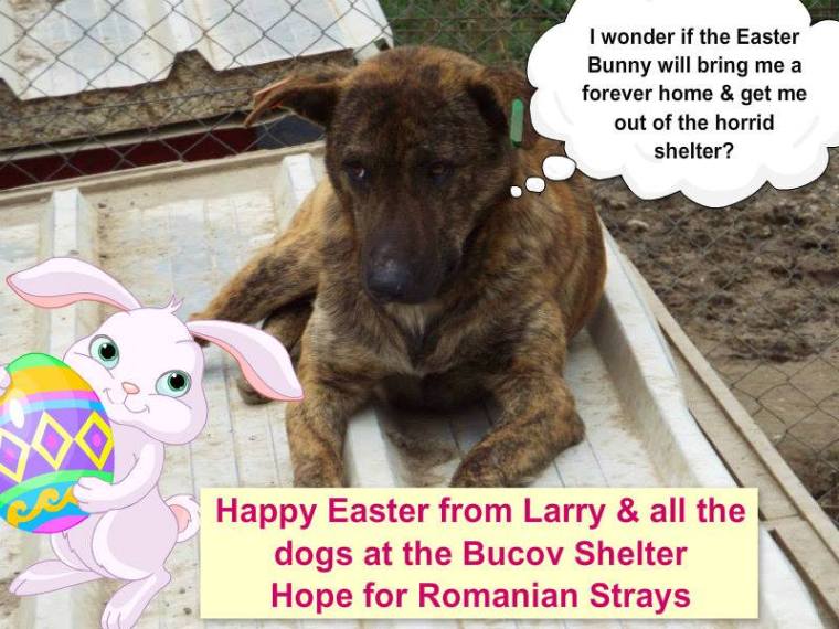 Larry's Easter appeal