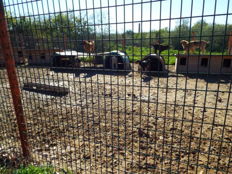 Seas of mud in the shelter