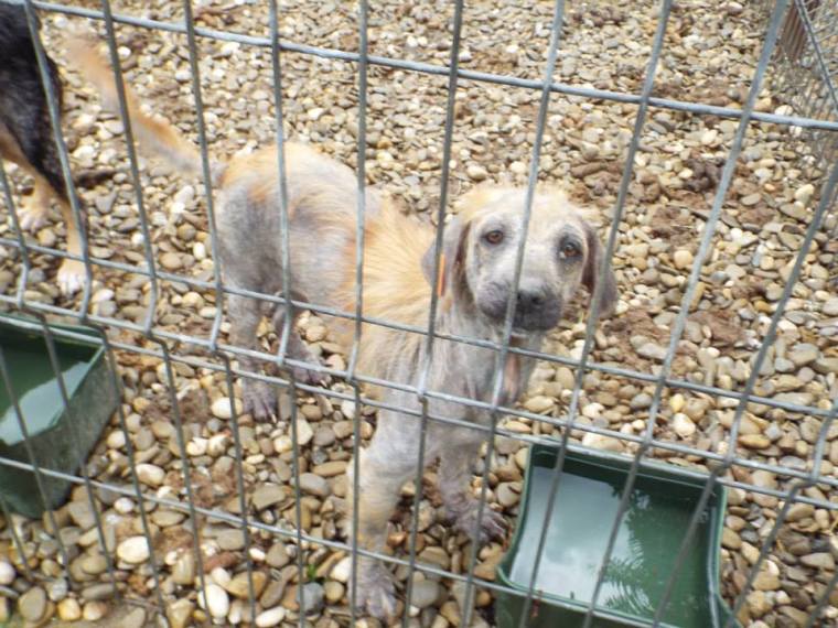 The other face of normality in the shelter