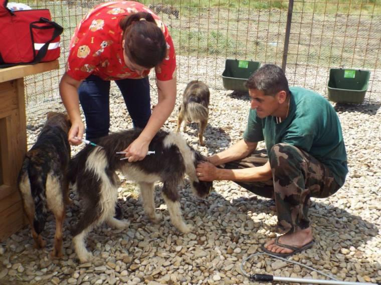 Just another normal day - an emergency treatment at the shelter