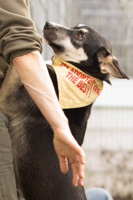 Thank you for saving me