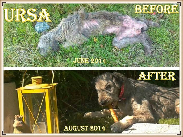 Ursa - then and now