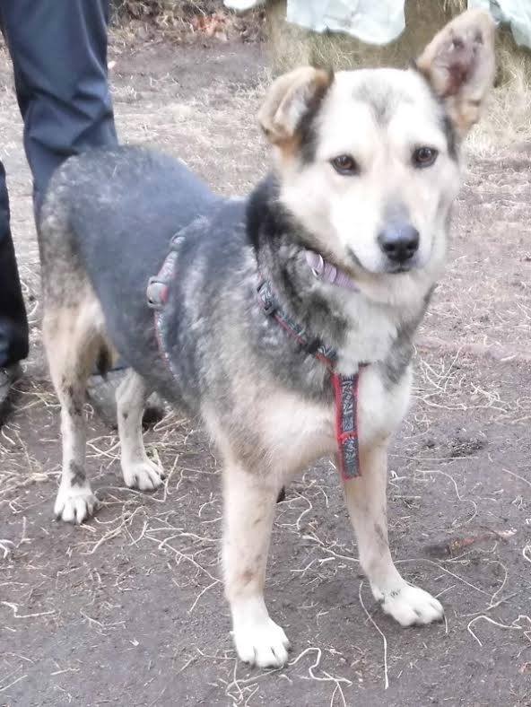 11054404_793850607360648_8723998919332697370_n