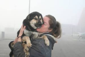 12289588_925835454162162_5168951897657980921_n