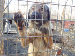 12360265_929917997087241_2822396534358966802_n