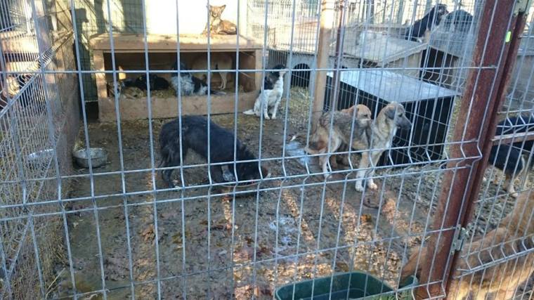 12571083_1045858965456560_556875025_n