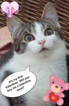 pizap-com14867248511831